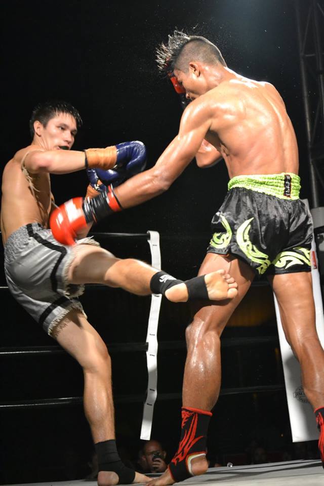 Cairns Events Event Details Explosive Fight Club Mixed Martial