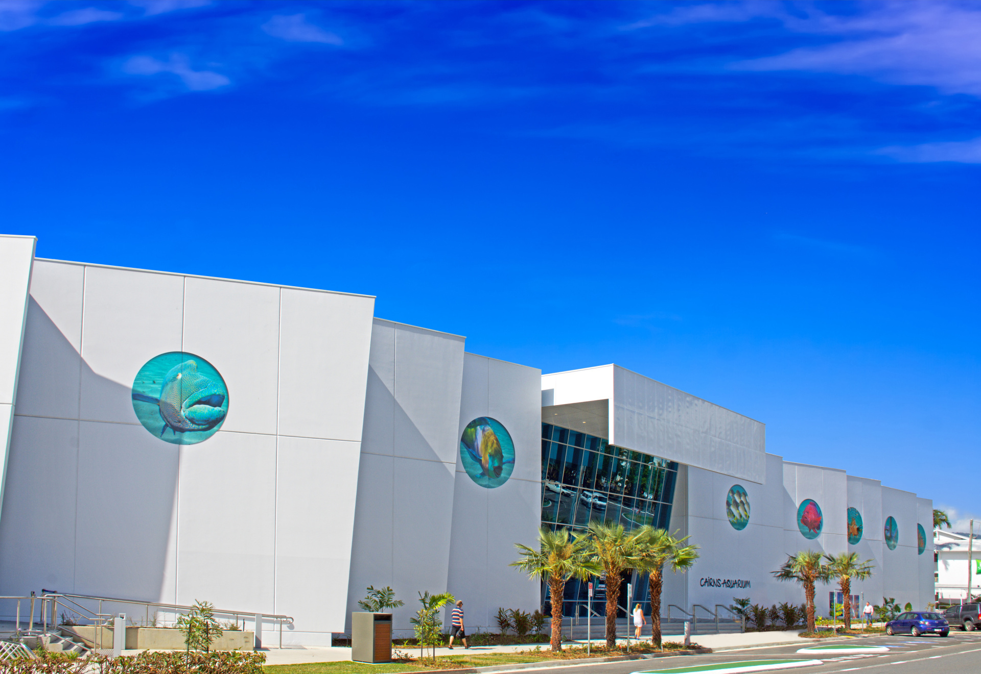 Cairns Aquarium Tourism Town The Tourism Marketplace Find and