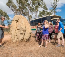 Chillagoe Caves & Outback including Granite Gorge and Aboriginal Rock Art