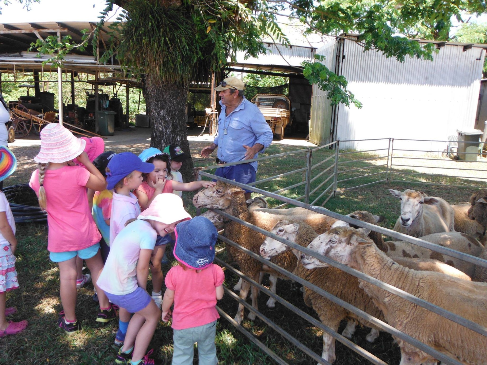 Cairns Events Event Details Family FARM DAY