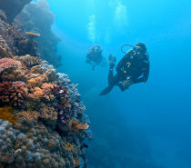Scuba diving with Coral Sea Dreaming