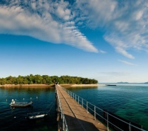 The island was formed approximately 6,000 years ago by waves depositing sand, coral and other debris onto its coral foundations