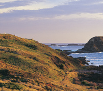 The Nobbies Centre Phillip Island