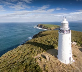 penguin tours bruny island