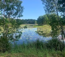 Cattana Wetlands, Cairns, Queensland.