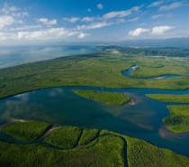 Join our professional, friendly and highly experienced guides in an unforgettable day of fun, discovery and adventure exploring the majestic rainforests,