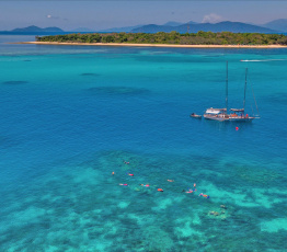 Ocean Free at Green Island