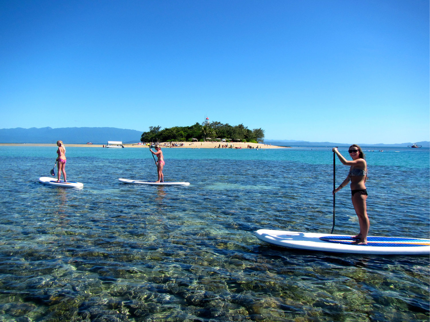 Cairns Events Event Details Low Isles StandUp Paddle Island and