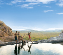 kakadu swimming 