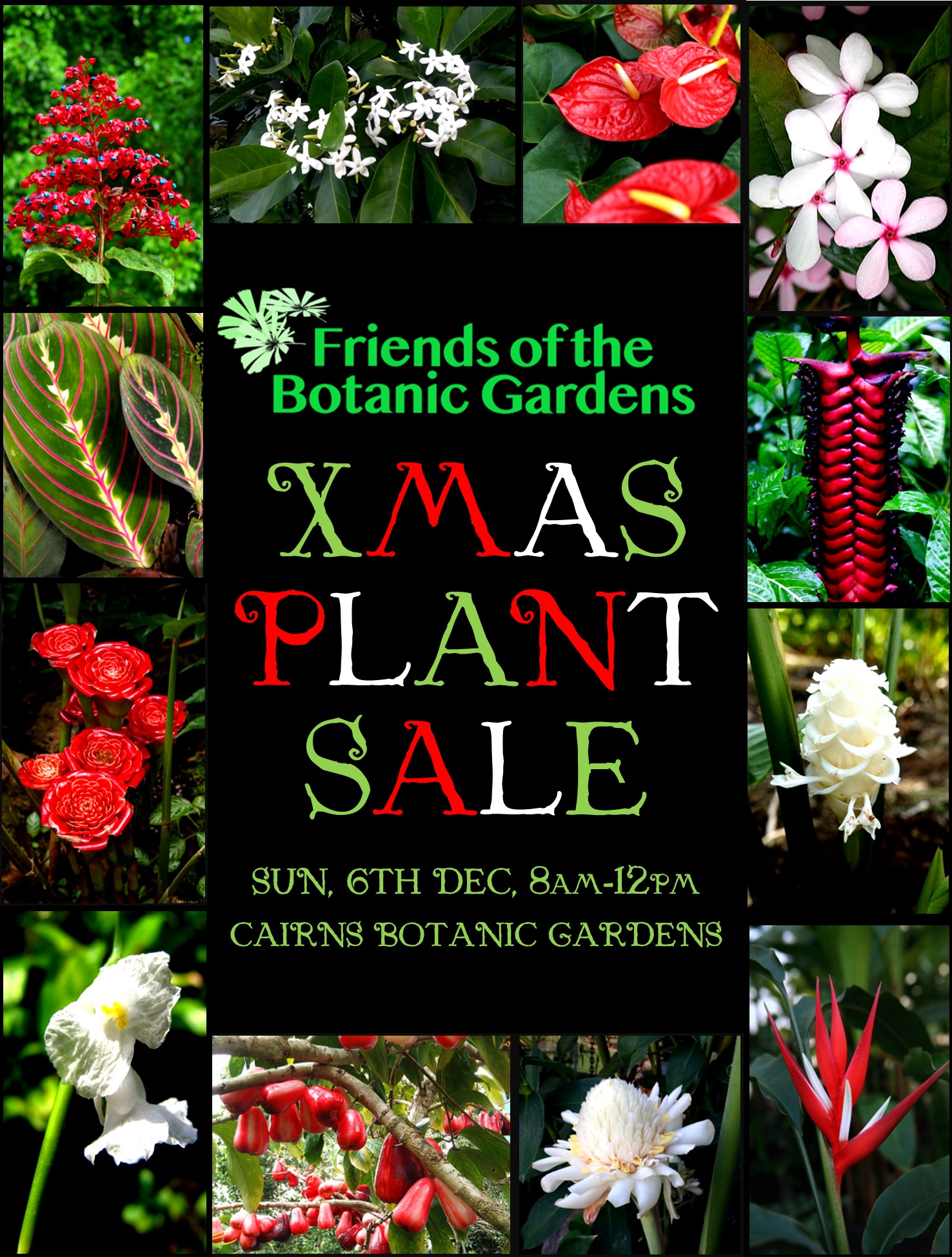 Cairns Events Event Details Botanic Gardens preChristmas plant sale