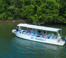 Relax and enjoy the splendour only the Daintree can offer as you learn of Estuarine Crocodiles, mangrove forests and endemic wildlife, this is nature at its best!