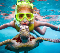 Snorkeling on Moore Reef