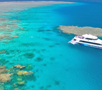Great Barrier Reef Day Tour from Cairns