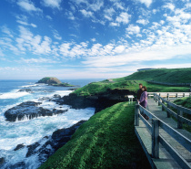 The Nobbies Boardwalk at Phillip Island