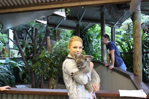 Kuranda Koala Gardens Tourism Town The Tourism Marketplace
