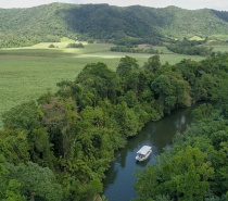 We visit the Majestic Daintree River for a 1 hour river cruise. 