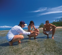 Explore the nature and history of Low Isles on an Island Heritage Walk with our expert guides.