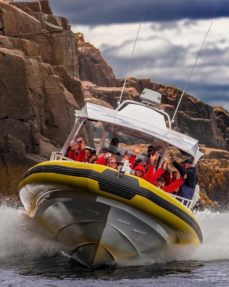 bruny island jet boat tours