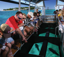Glass Bottom Boat Tour at Green Island