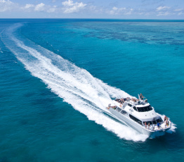 Ocean Freedom Cruising to Upolu Cay Reef 