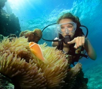 Cairns' warm waters offer excellent conditions to enjoy your diving experience. 
