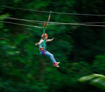 Jungle Surfing in the Daintree