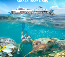 Great Barrier Reef snorkelling is great for swimmers of all abilities