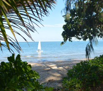 Palm Cove Beach