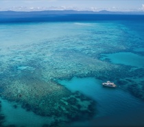The Great Barrier Reef is made up of over 2,900 reefs. This includes 760 fringing reefs and 300 coral cays. 