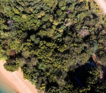 Ariel view of Dunk Island beach 