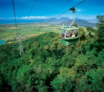 Skyrail Scenic Cableway