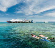 You won't find a better value outer reef adventure with this many activities and inclusions packed into one day.