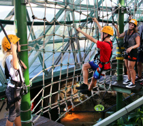 Cairns Rope Course