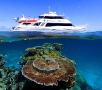 Poseidon Outer Reef Tour departs daily from Port Douglas