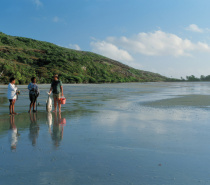  Cape Tribulation Beach