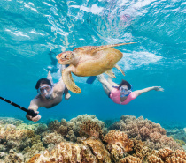 Great Barrier Reef Snorkeling Tour