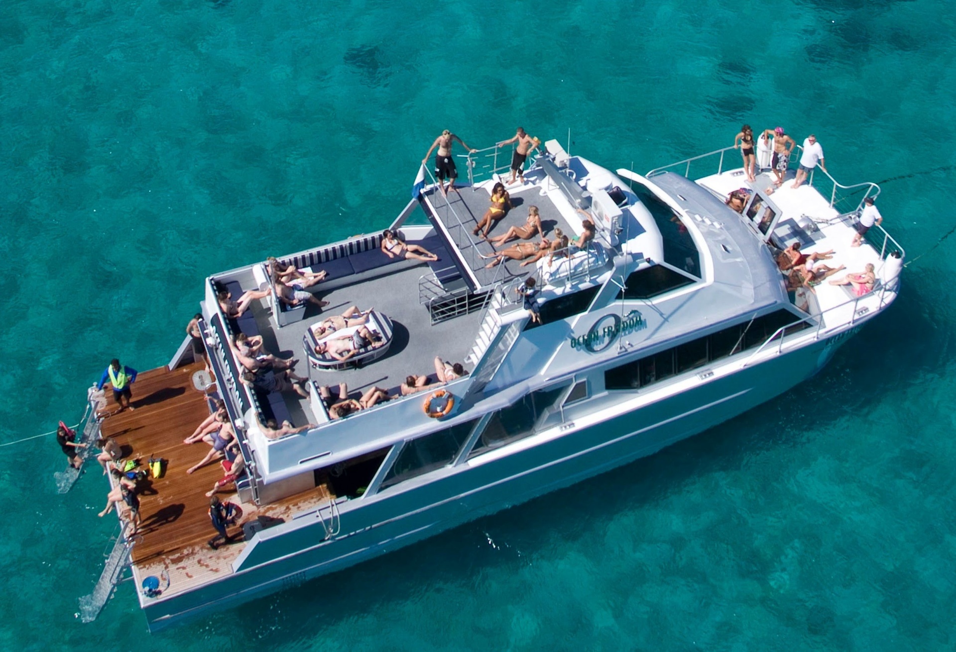 Ocean Freedom Cairns Tourism Town The Tourism Marketplace Find