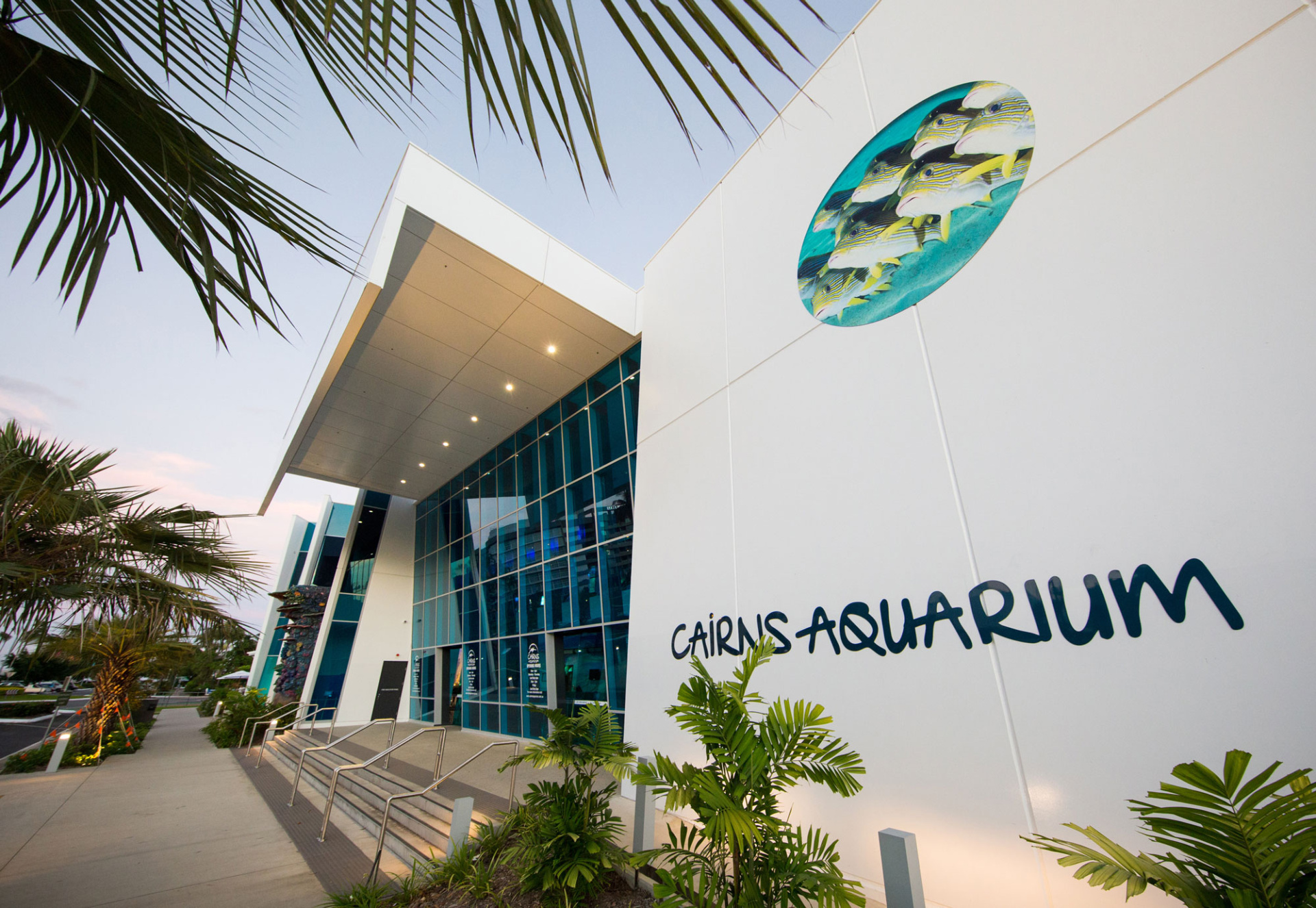 Cairns Aquarium Tourism Town The Tourism Marketplace Find and book authentic experiences.