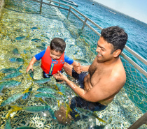 OCEAN ENCLOSED KIDS' POOL