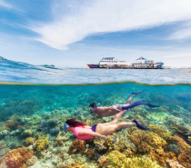 Moore Reef: Outer Great Barrier Reef Snorkelling