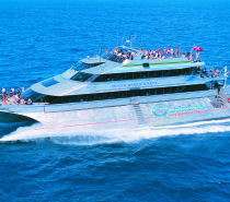 Quicksilver’s wavepiercing catamaran