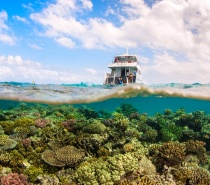 Reef Day Tour from Port Douglas