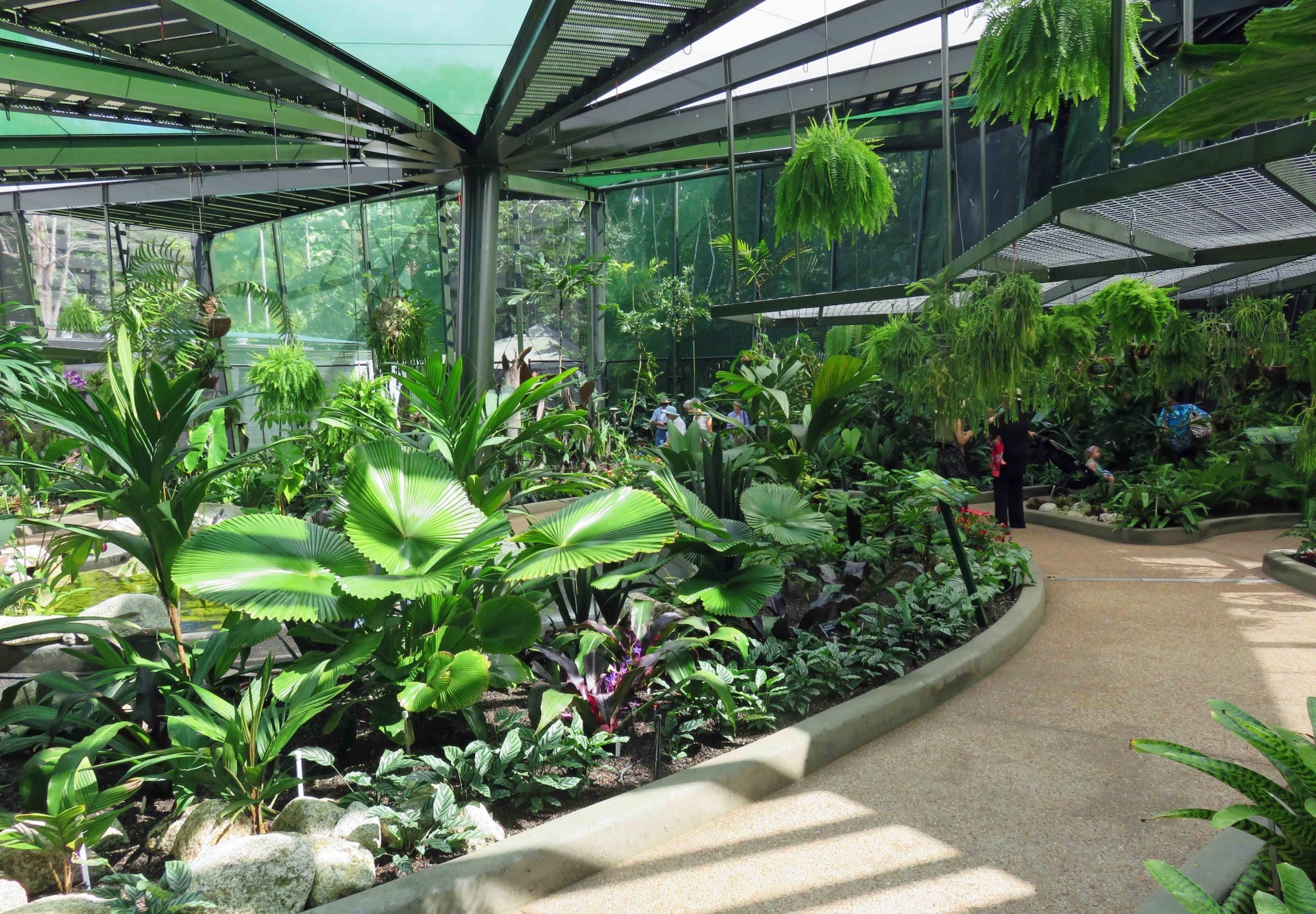 Cairns Botanical Gardens