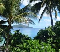 Fitzroy Island 