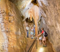 take a step back in time and be inspired by the knowledge of your guide as he explains about the fossilized remains of the ancient coral reefs some 400 - 420 million years old