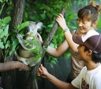 Wildlife Dome