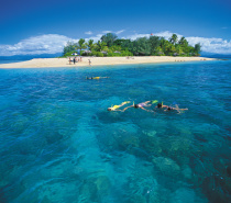 A secluded tropical paradise, set like a jewel in the Great Barrier Reef, Low Isles is an idyllic, unspoilt coral cay island