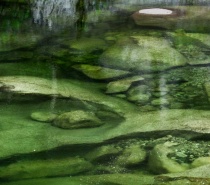 After your exciting adventure, chill out as we provide lunch at a gorgeous swimming location. Do what you want, swim, relax, play.