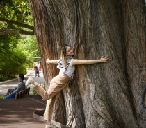 Royal Botanic Gardens