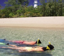 Snorkellers have the opportunity to join organised snorkel expeditions and view the creatures of the reef under the guidance of a Marine Biologist. 